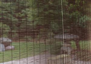 骨董品の魅力が詰まった長崎の市場ガイド：価値ある収集品を見つけるためのポイント